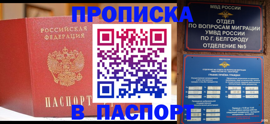 временная регистрация в квартире в Бокситогорске